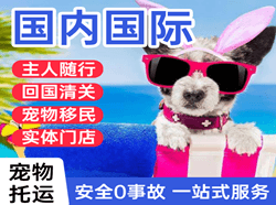 玉龙空运代理国际宠物托运 【国